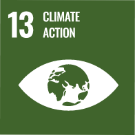 SDG 3 icon